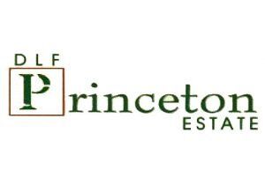 Princeton — ICS client
